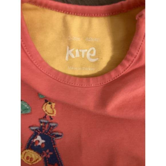 Kite Appliqué Giraffe Shirt - Picture 2 of 2